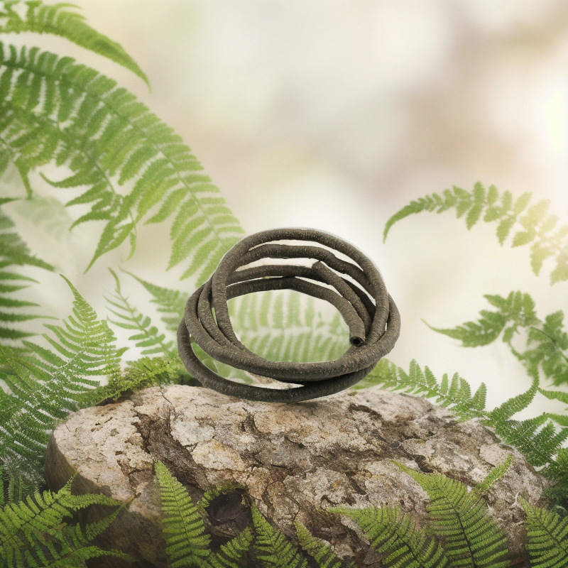 Simulation climbing vines Amazon hot-selling crawling vines climbing pet vines tropical rain forest plants vines bending resistance random shaping Simulation climbing vines Amazon hot-selling crawling vines climbing pet vines tropical rain forest plants vines bending resistance random shaping