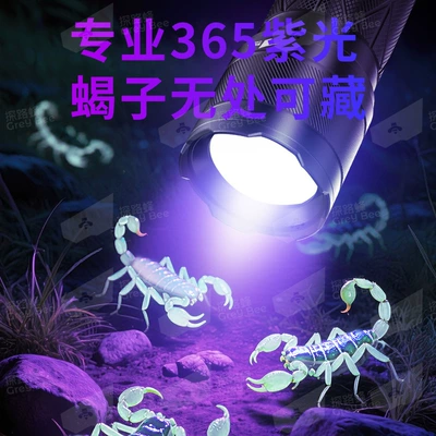 Special Lamp for Scorpions, Multi-Functional UV fənərlər
