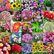 NӝMǲ˹̫ꖻݮտļ^ֲN