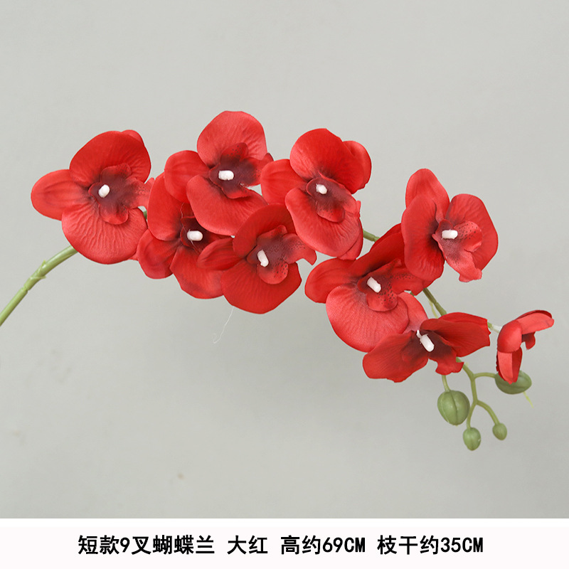 Short 9-prong phalaenopsis red silk cloth