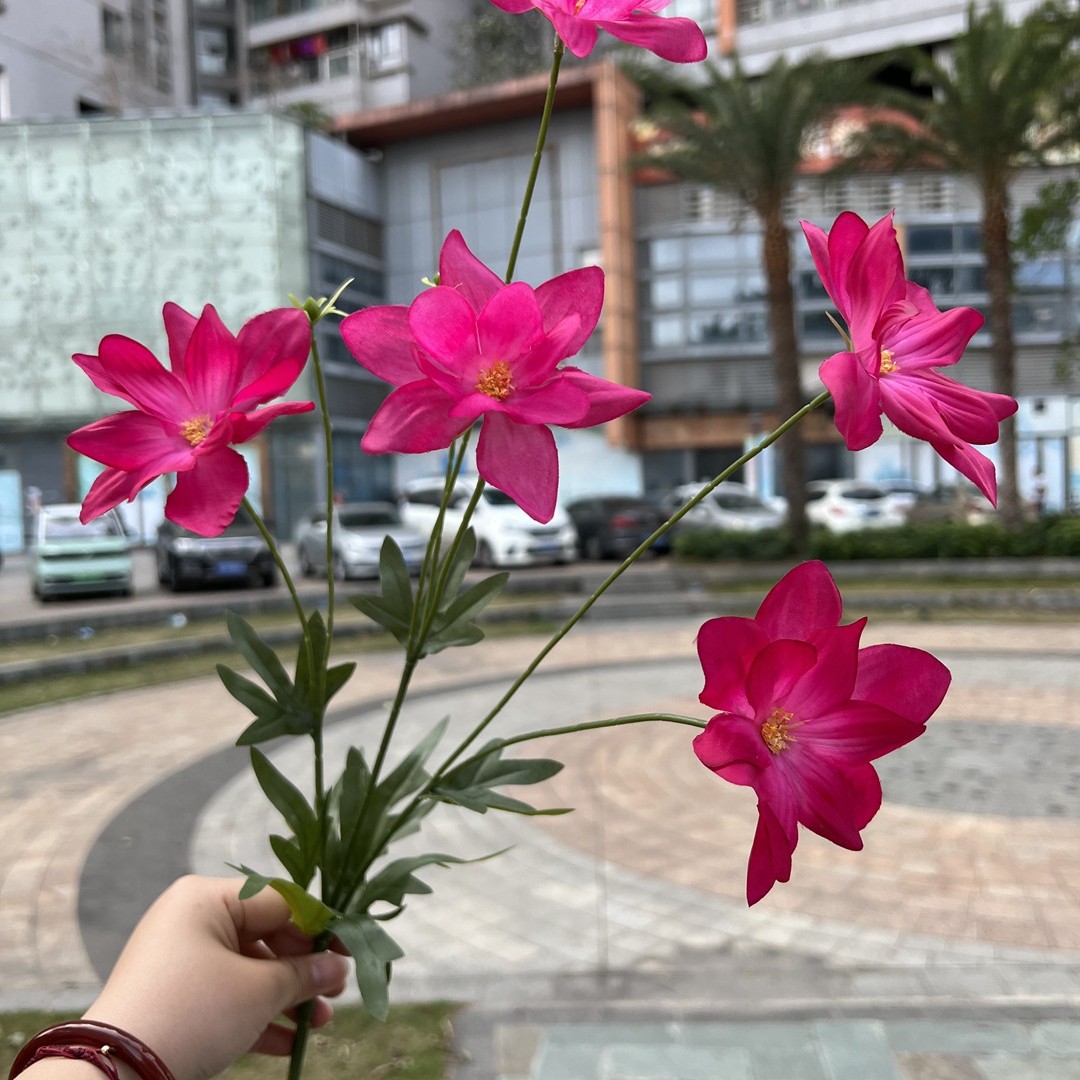 7 tenedor golondrina voladora Rosa Roja
