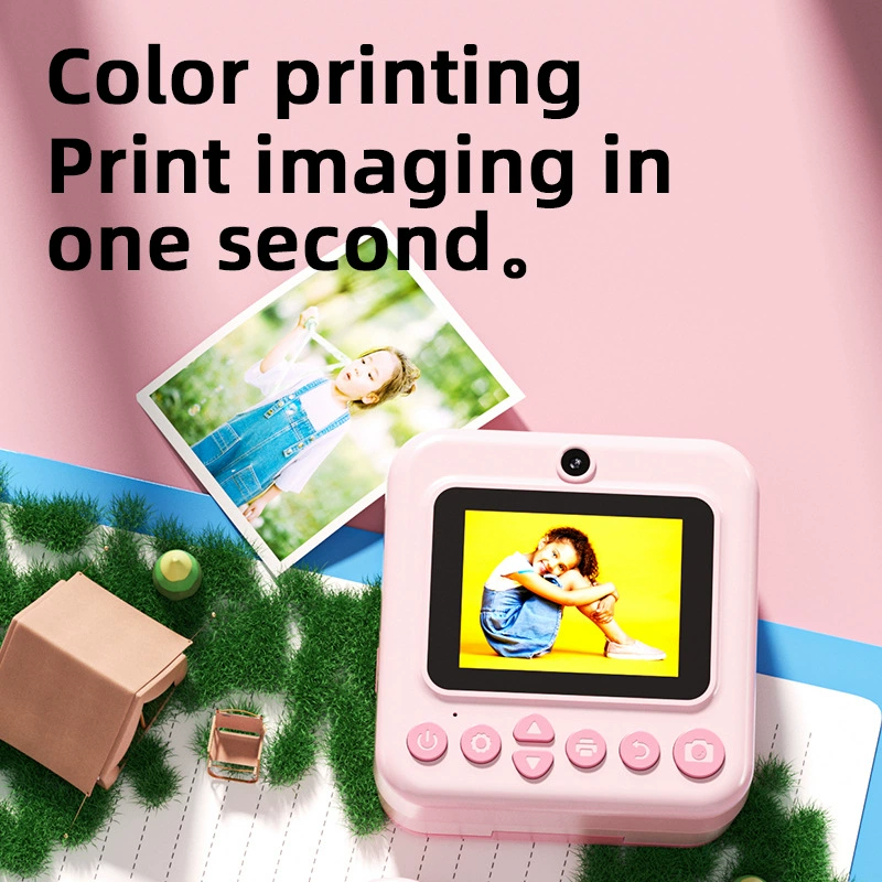 Handheld digital camera