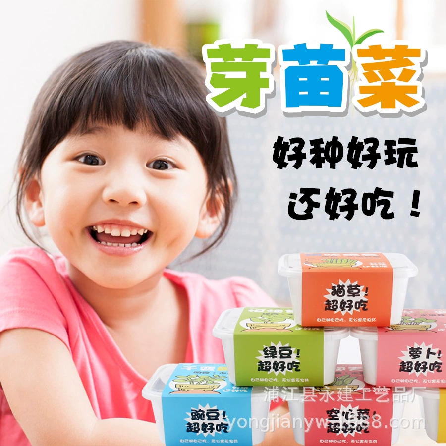 Творческий гидропонный завод мини-резервуар для выращивания овощей детская посадка небольшой горшок детский сад наблюдение за ростом растений