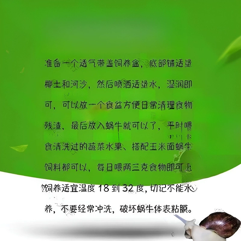 Улитки для школьных экспериментов, белая яшма, для питомцев