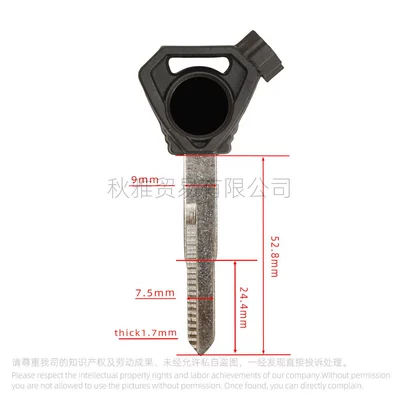 Embryo with Magnet, Motorcycle Key