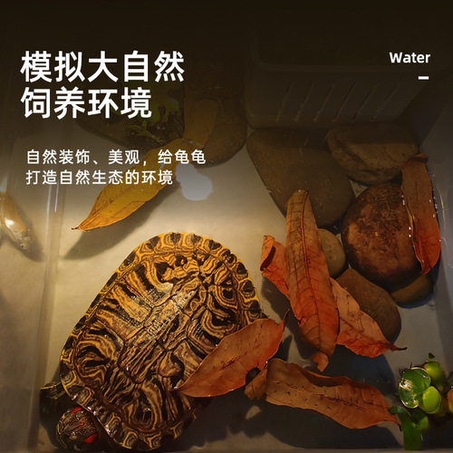 No-cooking turtle longan leaves to prevent rotten skin and armor, turtle raising leaves to improve water quality, turtle raising supplies, turtle tank landscaping