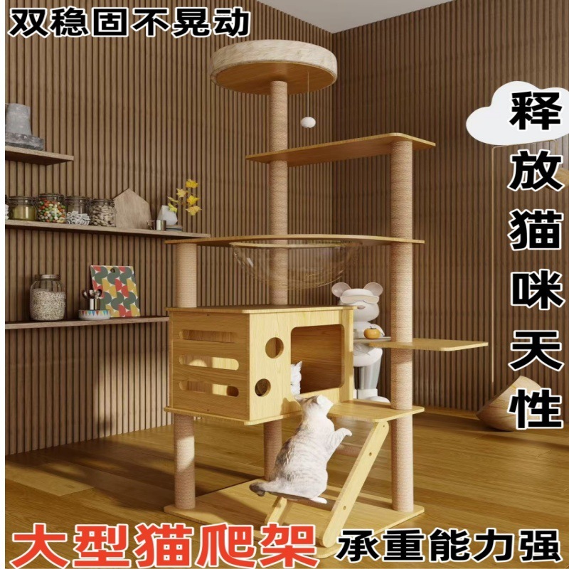 야옹 스타일【001】기본 스타일