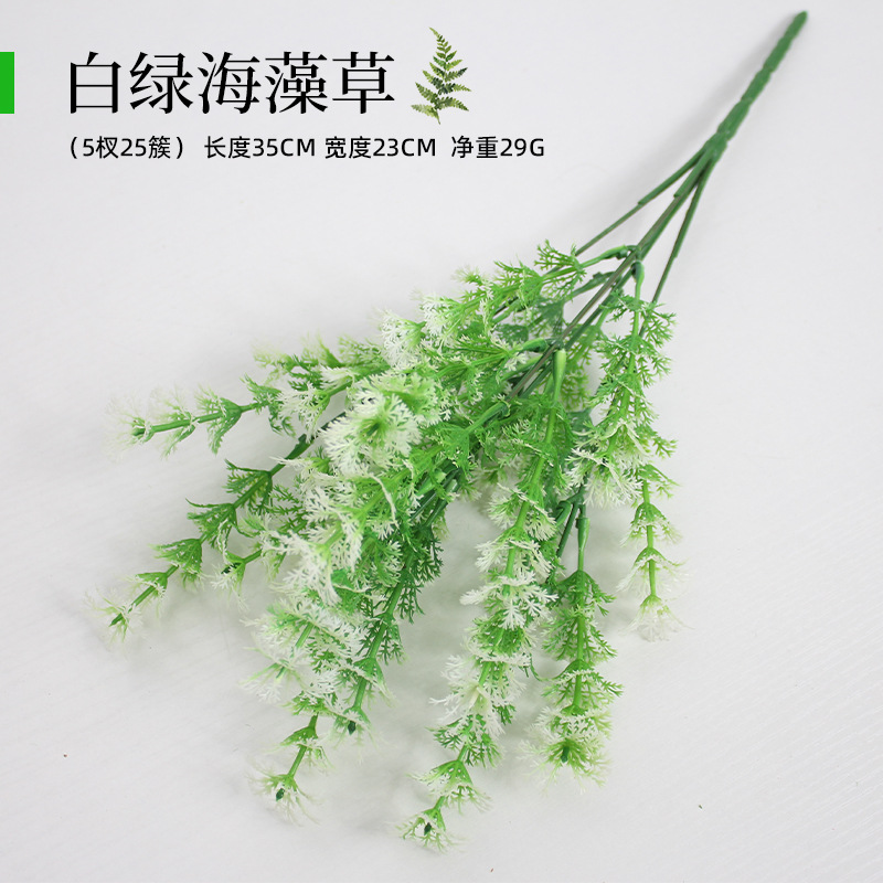 Hierba de alga marina blanca