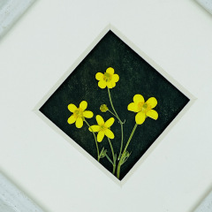 クリエイティブミニラナンスドライフラワーINSスタイルフォレストスタイル押し花本物の花押し花接着剤携帯電話ケースブックマーク素材パッケージ