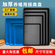 �����бP�L���μ��ñP�Ӻ��s��̖����P�ش�ߴ�ˮ�P���\�u�S�P