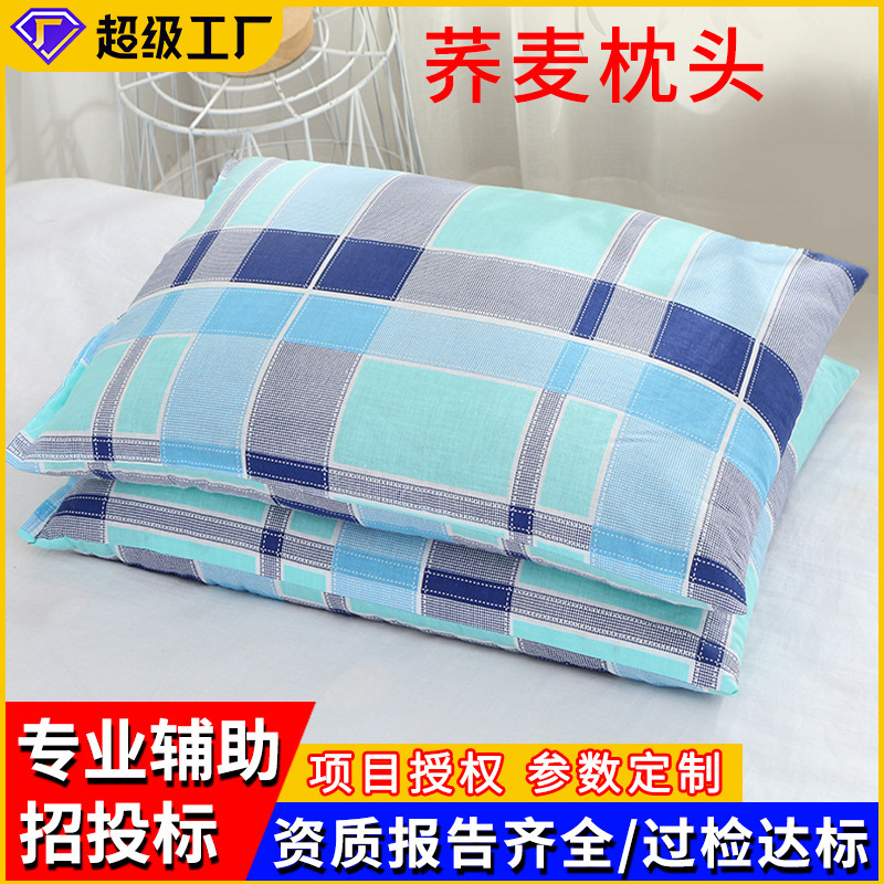 Wholesale Single Full Buckwheat Shell Pillow Core Adult Household Neck Protection Four-Season Universal Buckwheat Health Pillow Manufacturer