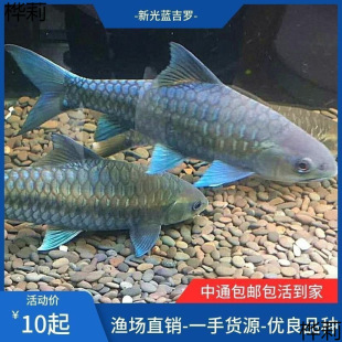 �¹ⴽ�{���_�~�絭ˮ�~�^�p�~�����~����ԭ���_�~�Lˮ�~Ⱥ�B���~