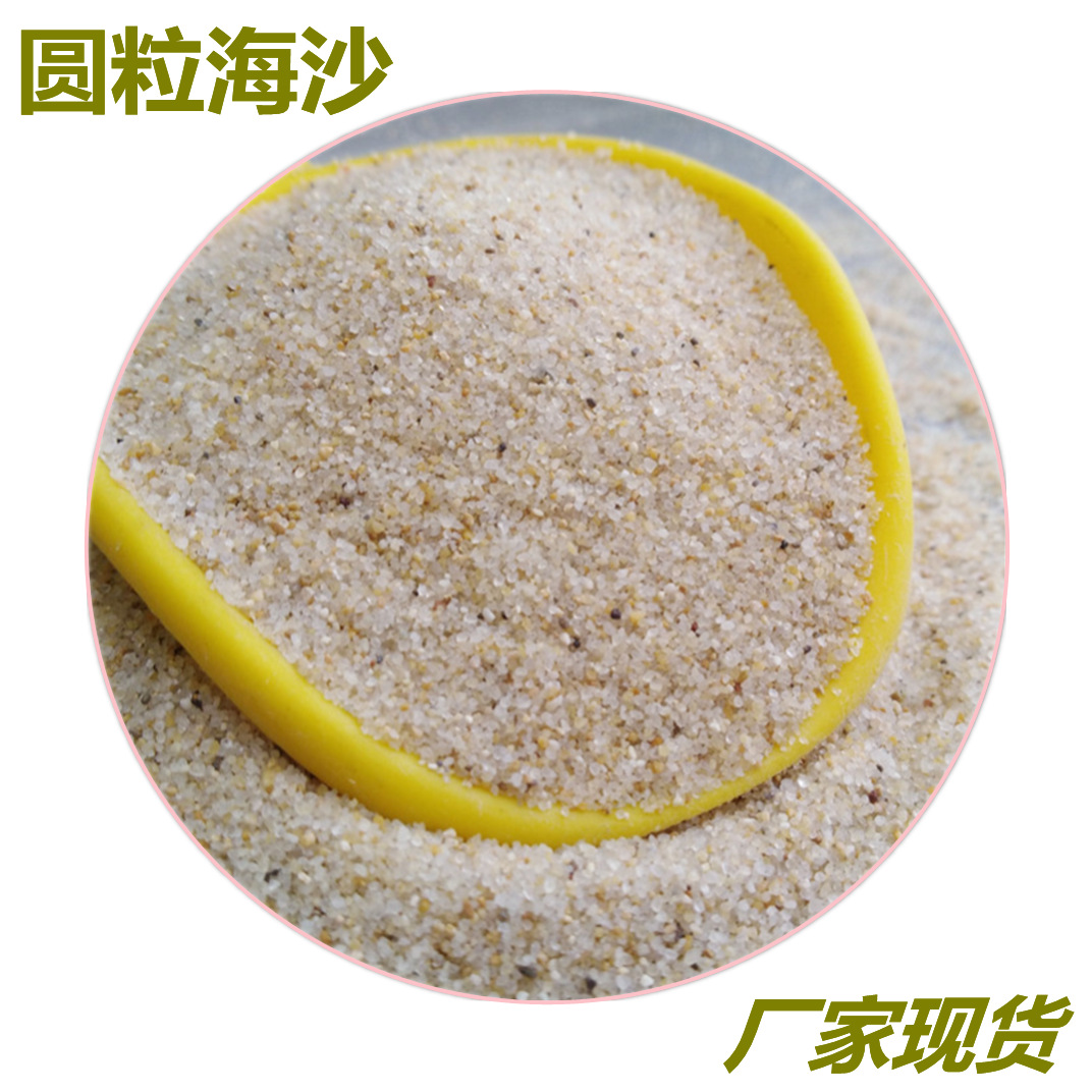 儿童圆粒无尘海砂长沙学校跳远沙坑沙足球沙滩海沙玩具填充用白沙