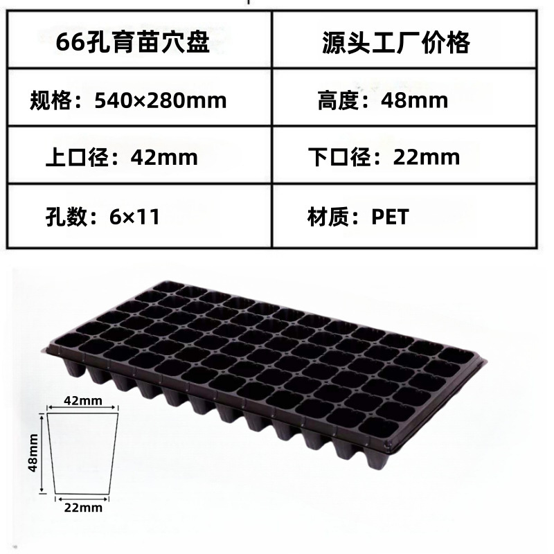 66孔育苗盘种植育苗穴盘蔬菜苗育苗盆经久耐用蓝莓育苗育苗穴盘|undefined