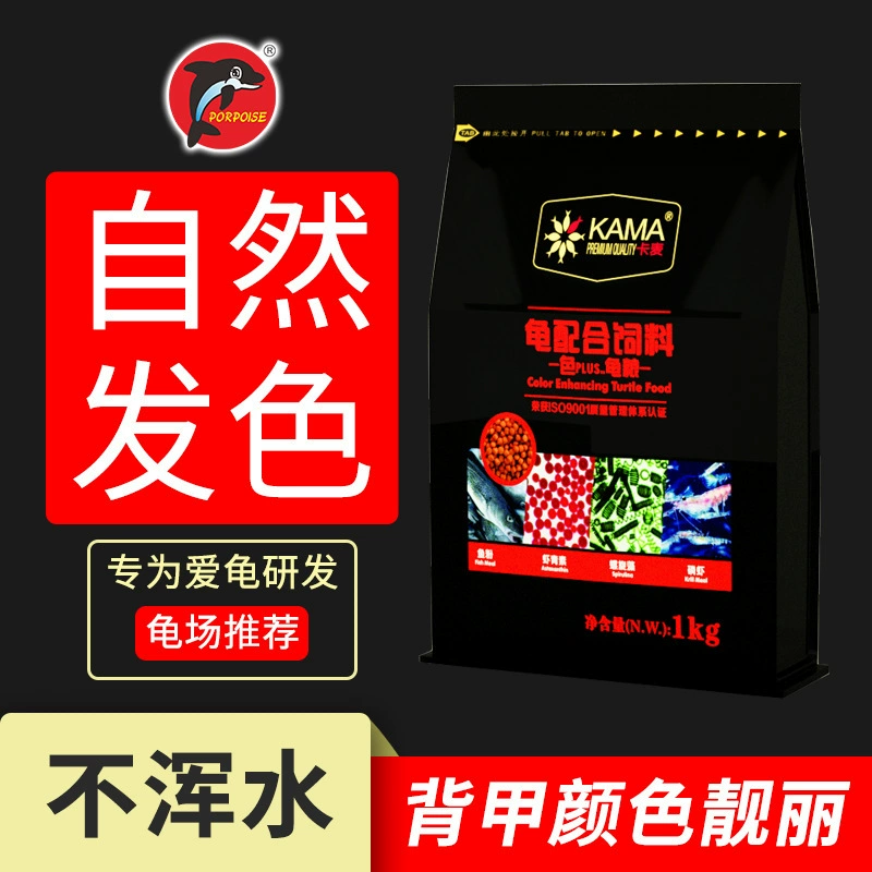 Дельфин Камаи Раскраска Черепаха Еда Камень Черепаха Деньги Желтый Край Вода Черепаха Еда Суката Черепаха Молодая черепаха Корм