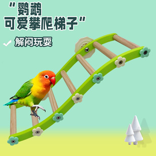�W�^�B�����ˣ�␞�������ľ��С�B���܌����W�^�����B�\���b�