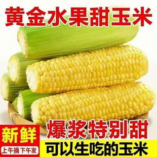 ���r�Fժ�Sɫˮ�������S��ˮ�����������װ�������𱬝{���S����