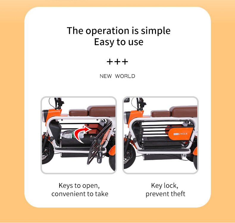 Electric Tricycle for Elderly/Pet Use