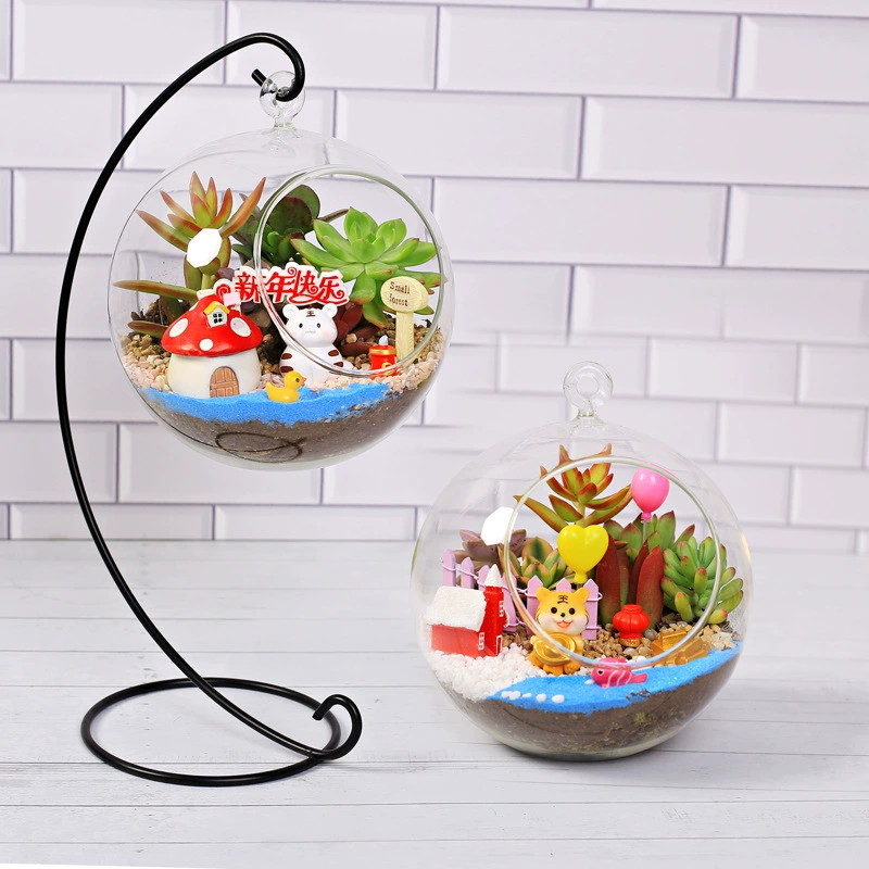 16 новогодний мясистый стеклянный шар коническая Бутылка маленький горшок растение подарок микро бонсай офисный стол материал для посадки мяса сумка