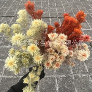 �M�ڽ��q�P�𻨼ҾӲ廨�[��ܛ�b�Ĕz��������������