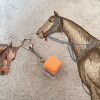 Single button - orange 20 - small d-ring chain