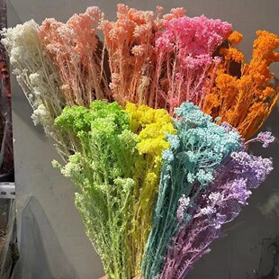 ���������l��ɫ�׻��ɻ�����diy�����Y�в��ϰ���c���Ŀ羳���l