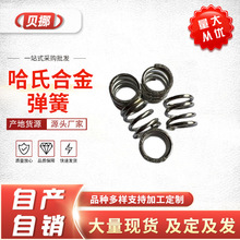 �������ϺϽ����� HC-276���� �͸��g���� ���N�͸ߜ؏���