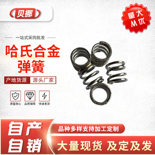 �������ϺϽ����� HC-276���� �͸��g���� ���N�͸ߜ؏���