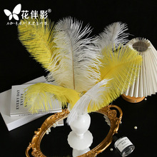 花伴影圣诞-羽毛系列25-35cm白色鸵鸟毛制品diy花束装饰鲜花资材