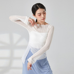 Summer Classical Dance Top for Women Adult Figure Training Performance Flowing Body Rhyme Gauze Dress Chinese Modern Dance Costume