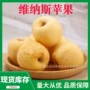 烟台山东礼盒装新鲜水果