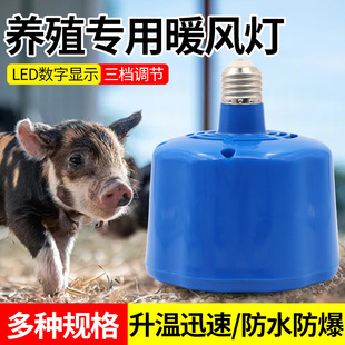 ���i���؟�ů�L�������r���������ﱣ�؟����iС�u���x���Bֳ����