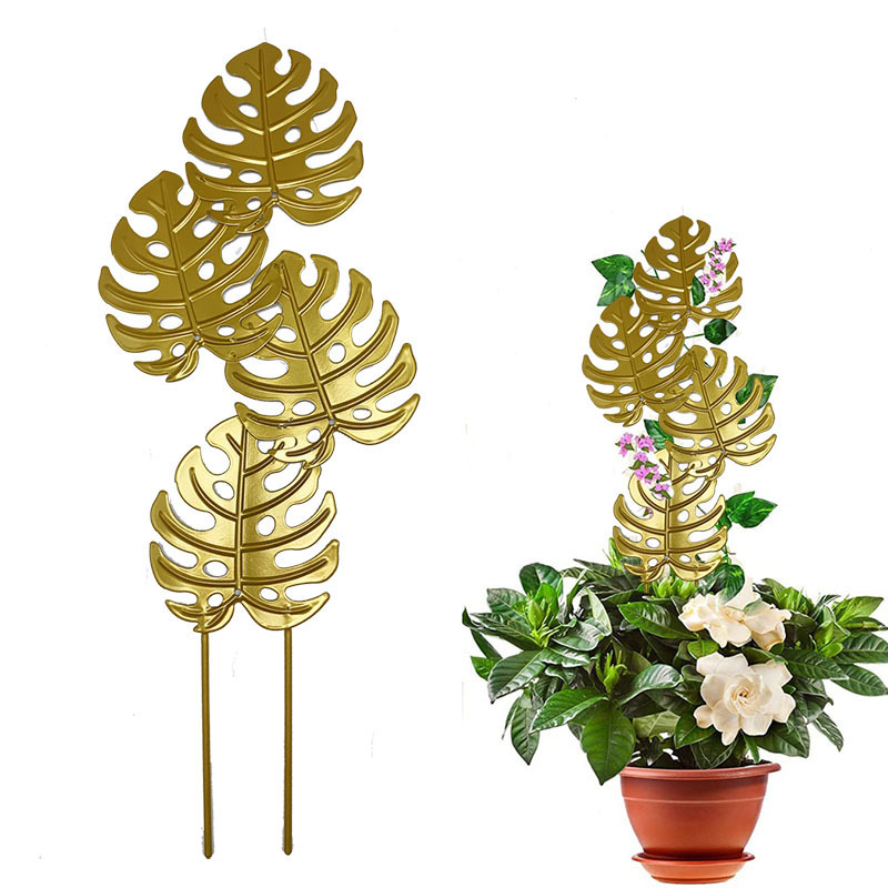 O1CN01yrd7eG1q2ecx6Lagw_!!2215