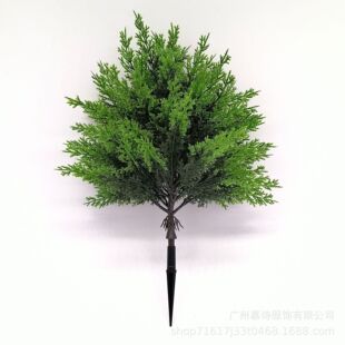 ���R�d�羳�����̰صز�Gֲ���~�b��⻨�@ͥԺ����