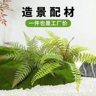 Simulated Persian Grass Fern Wedding Background Wall Landscaping Fence Ins Style Green Plant Decoration Accessories Wholesale