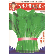 �߲˷N�� ���� �ļ���N�t������ �̨������؈@ˇ����Gɫ�߲�