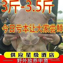 �M�������r��ˮ���۴�I�B���l���A�Mʳ�ü��~���r�r��F�~�~����