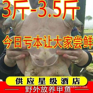 �M�������r��ˮ���۴�I�B���l���A�Mʳ�ü��~���r�r��F�~�~����