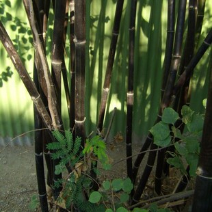 ���K����������l  �S���� �������  ���� Ҏ��1-5���� �������l