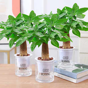 ���U�lؔ�������҃�ֲ���׻�͏dС�辰�ļ������k���҃����Ի���