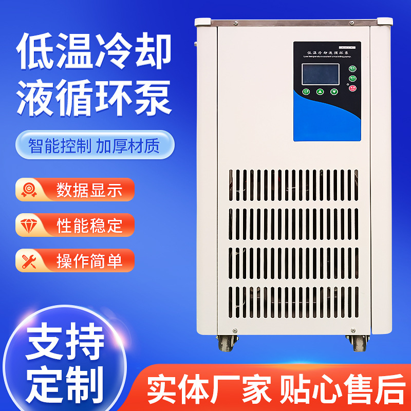 DLSB-5L-10L-20L-30L-50-100L 低温泠却液循环泵 低温泵 制冷泵