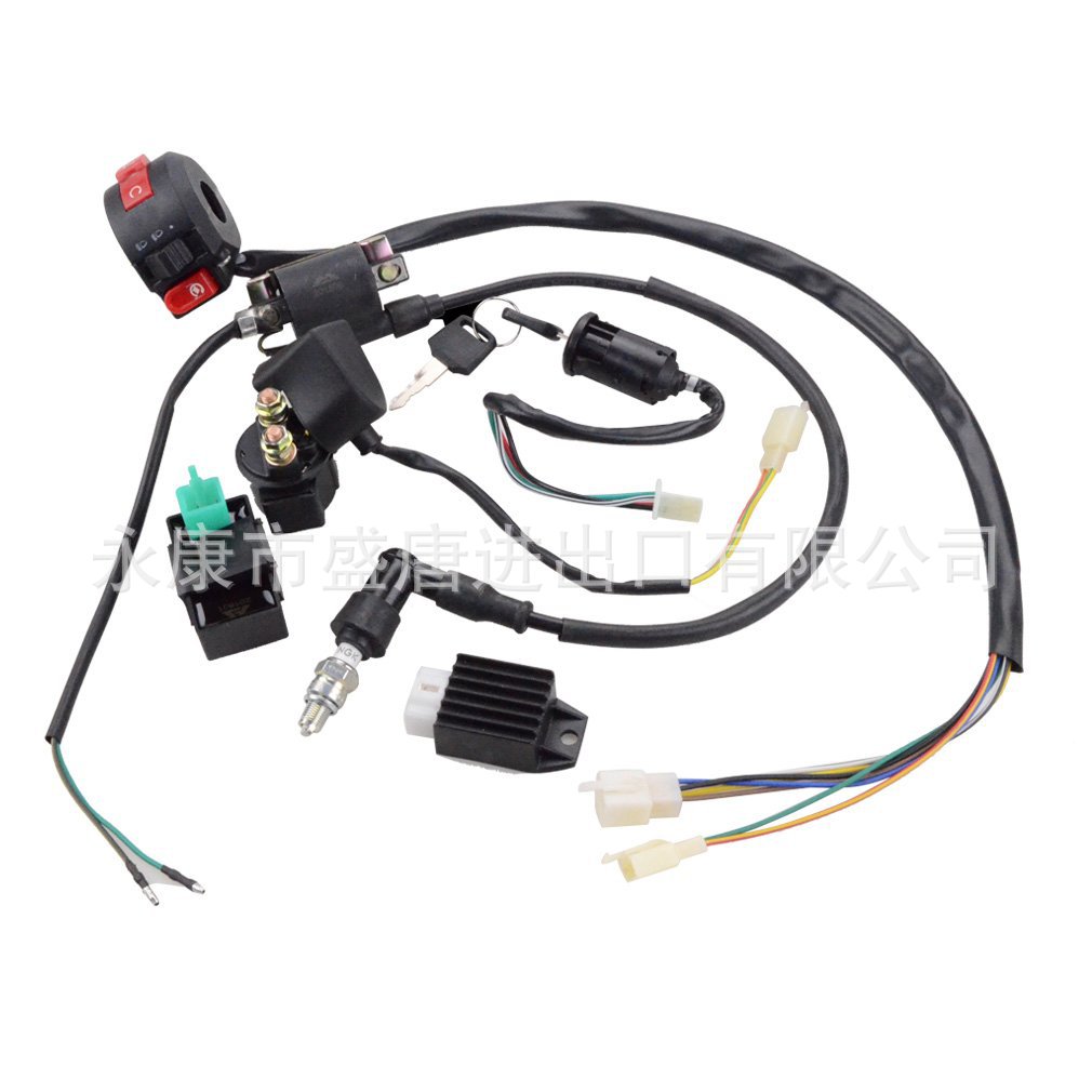 Complete Electrical Wiring Harness Rectifier Cdi Solenoid Valve Spark Plug Suitable for 50Cc-125Cc Atv Power Supply