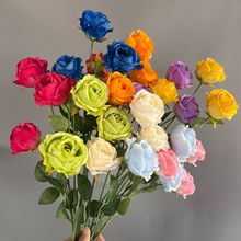 ���滨�߼��б������^����õ���ͮ�õ��ٻ���c�������ÔzӰ�[��