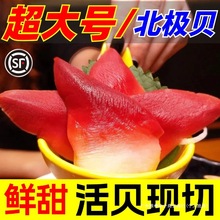 北极贝即食刺身新鲜拼盘原材料超大个半成品商用海鲜水产日料食材