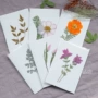 压花手工botanicalcard贺卡