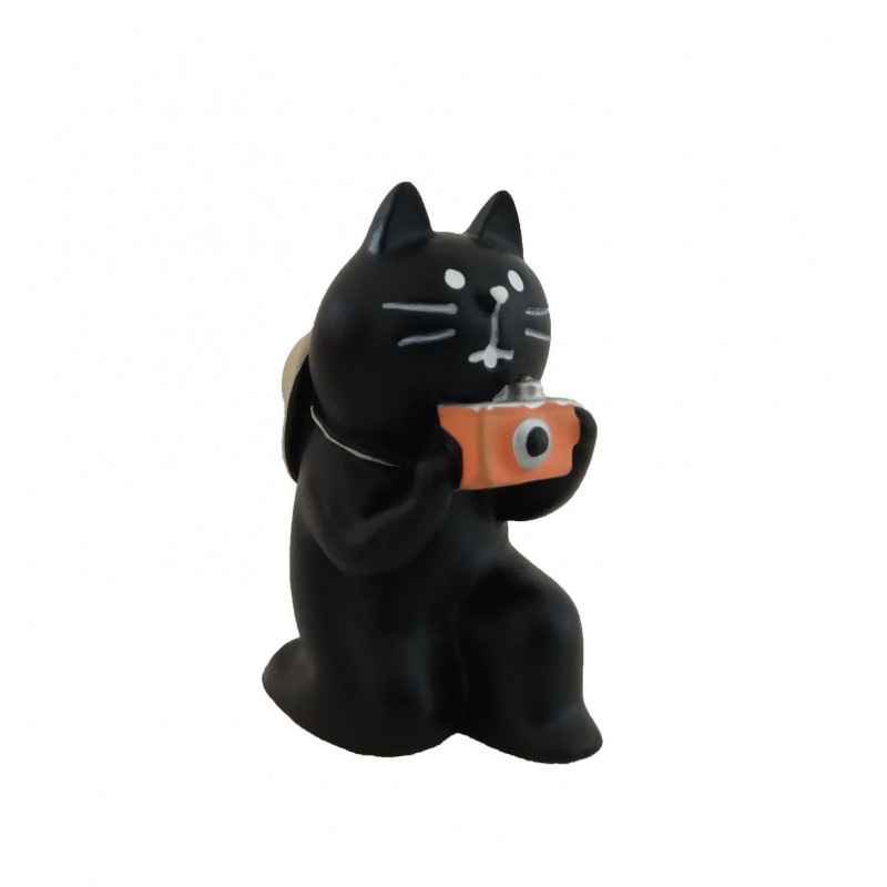 검은 고양이 사진
