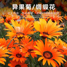 ջNļԻļ_ԺӶmϷNĻջN