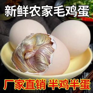 �������rë�����u�뵰���x15��20��ë�u��ϲ����̥��ȫë�����ͼ�