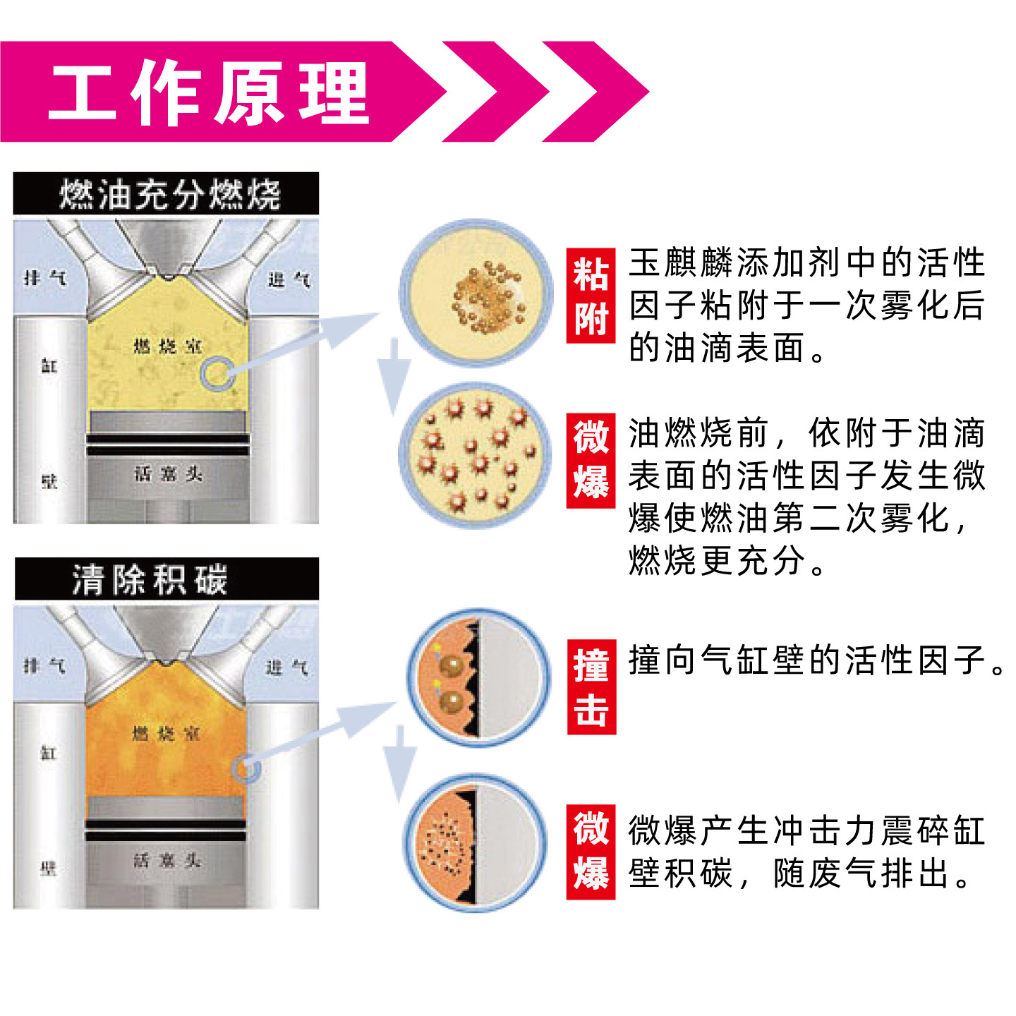Yuqilin 6 Bottles Box 50ml Multifunctional Gasoline Additive