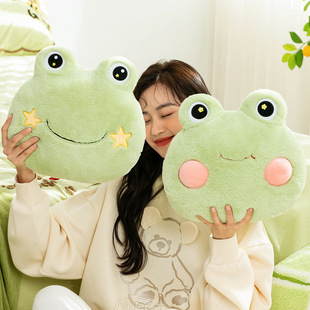 Tianhong's New National Standard Electric Hot Water Bottle, New Popular Cartoon Explosion-Proof Electric Hand Warmer, Double-Hand Removable Delivery